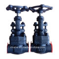 API602 Forged Carbon Steel A105 Thread End NPT Globe Valve